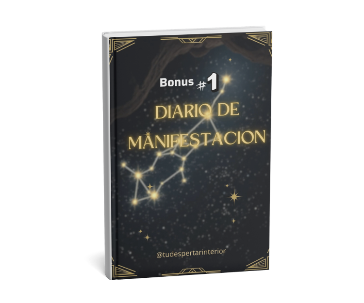 Diario de Manifestación